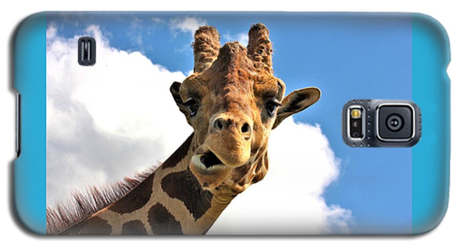Nature Galaxy S5 Case featuring the photograph Funny Face Giraffe by Sheila Brown