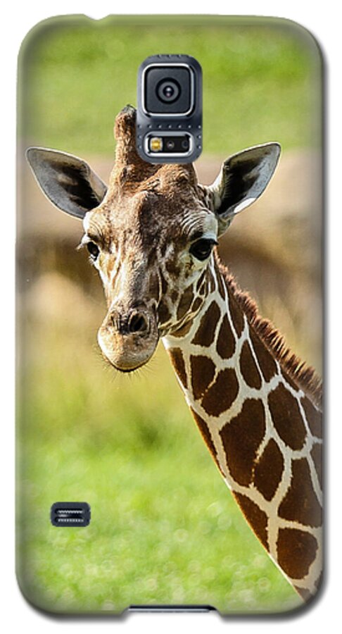 Giraffe Galaxy S5 Case featuring the photograph G is for Giraffe by John Haldane
