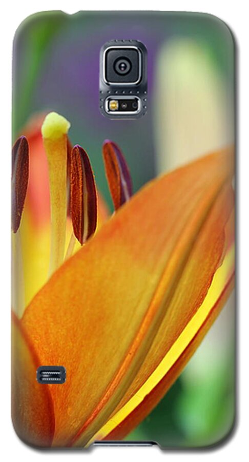 Flower Galaxy S5 Case featuring the photograph Garden Delight by Deborah Crew-Johnson