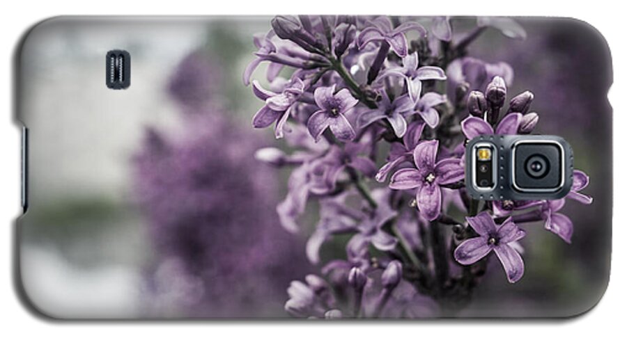 Miguel Galaxy S5 Case featuring the photograph Gentle Spring Breeze by Miguel Winterpacht