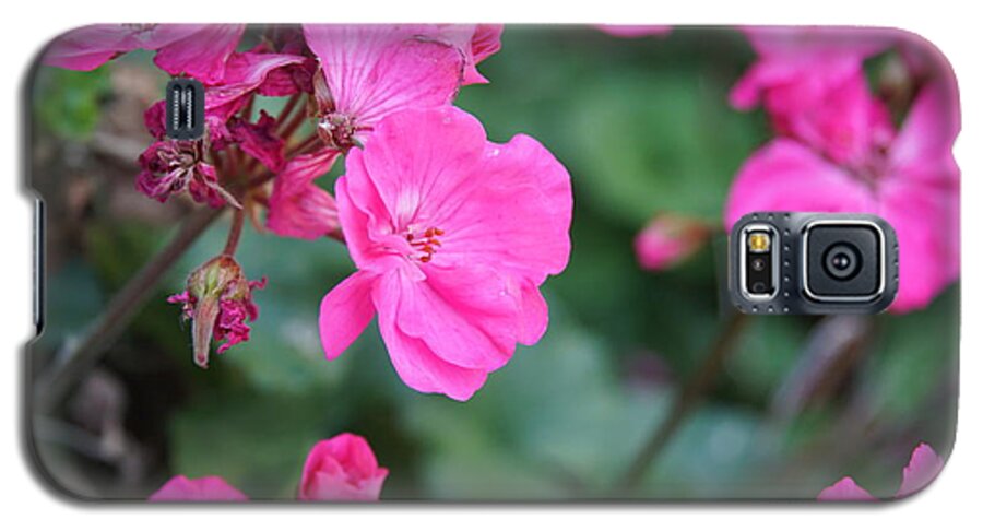 Geranium Galaxy S5 Case featuring the photograph Geraniums by Stephen Daddona