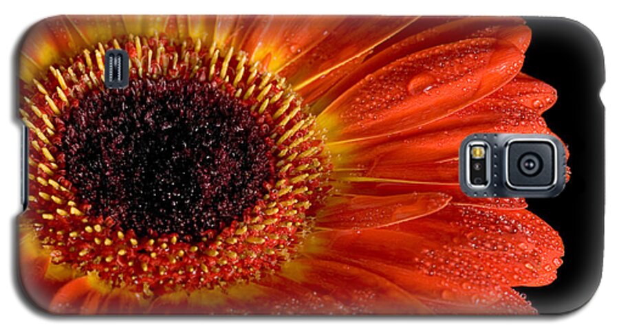 Flower Galaxy S5 Case featuring the photograph Gerbera I by Peter OReilly