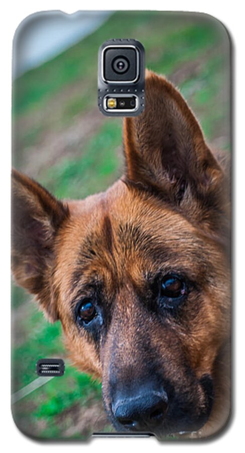 German Shepherd Galaxy S5 Case featuring the photograph German Shepherd Profile by Blake Webster