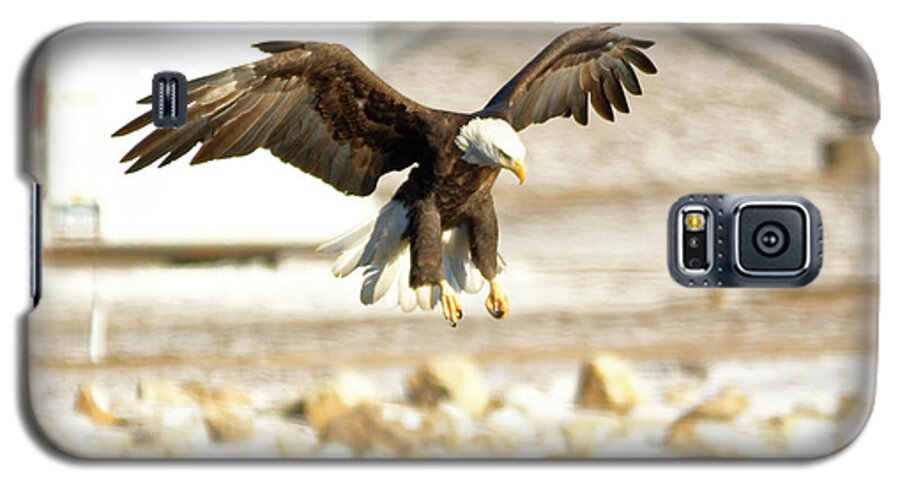 Bald Eagle Galaxy S5 Case featuring the photograph Getting ready by Peter Ponzio