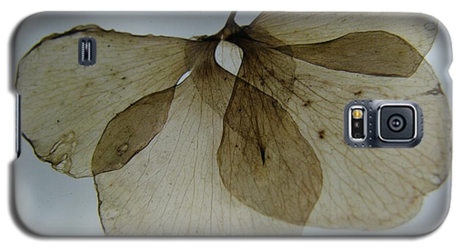 Ghostlike Galaxy S5 Case featuring the photograph Ghost of a Flower by Mary Ellen Mueller Legault