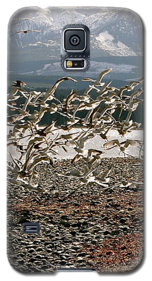 Herring Galaxy S5 Case featuring the photograph Gift From The Sea by Alicia Kent