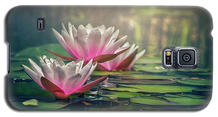 Waterlily Galaxy S5 Case featuring the photograph Gilding The Lily by Carol Japp