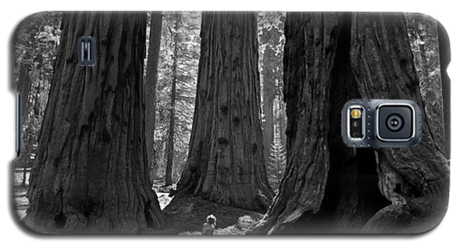 Sequoias Galaxy S5 Case featuring the photograph Girl and Giants by Olivier Steiner