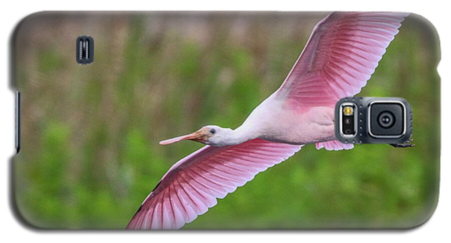 Spoonbill Galaxy S5 Case featuring the photograph Gliding Spoonbill by Tom Claud