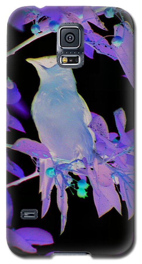 Animal Galaxy S5 Case featuring the photograph Glowing Cedar Waxwing by Smilin Eyes Treasures
