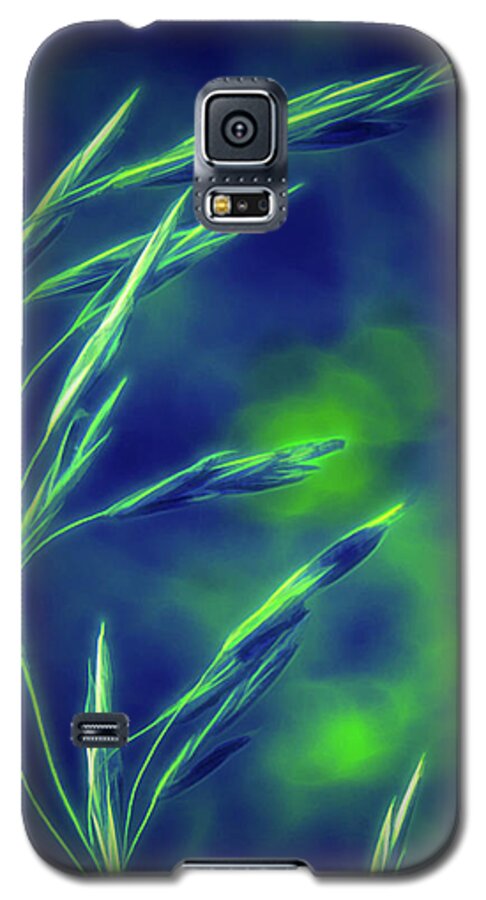 Moonglow Galaxy S5 Case featuring the photograph Going to Seed by Michael Hall