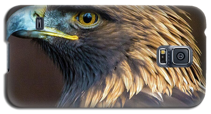Eagles Galaxy S5 Case featuring the photograph Golden Eagle 2 by Jason Brooks