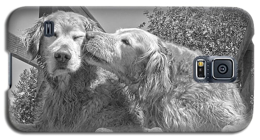 Golden Retriever Galaxy S5 Case featuring the photograph Golden Retrievers the Kiss Black and White by Jennie Marie Schell