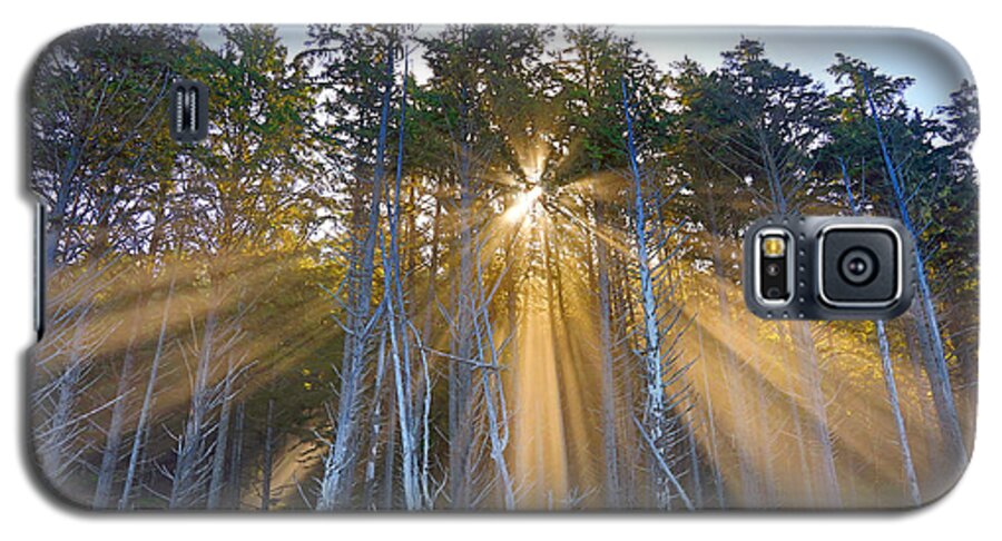 Sunrise Galaxy S5 Case featuring the photograph Golden Sunrise by Martin Konopacki