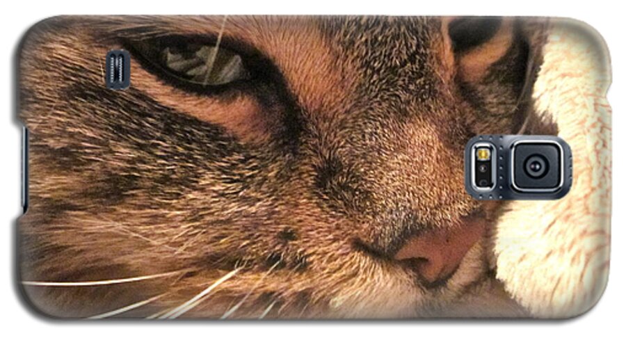 Cat Galaxy S5 Case featuring the photograph Goliath by Gwyn Newcombe