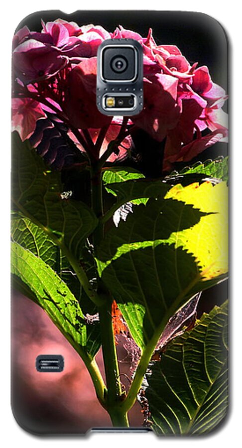 Botanical Galaxy S5 Case featuring the photograph Good Morning Hydrangea by Richard Thomas