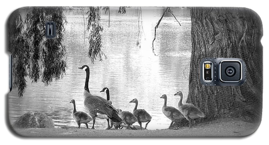 Geese Galaxy S5 Case featuring the photograph Goslings BW7 by Clarice Lakota