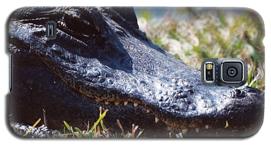 Alligator Galaxy S5 Case featuring the photograph Got My Eye on You by David Bader