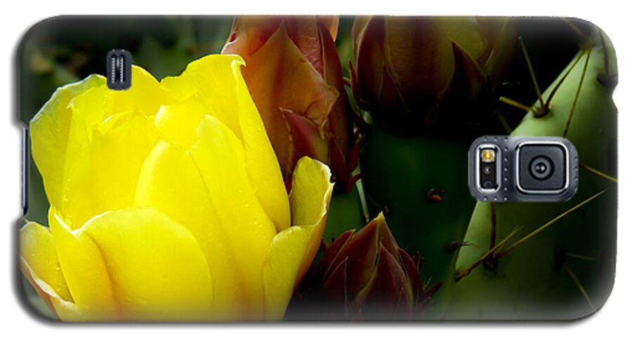 Flower Galaxy S5 Case featuring the photograph Grace Under Pressure by Terry Ann Morris