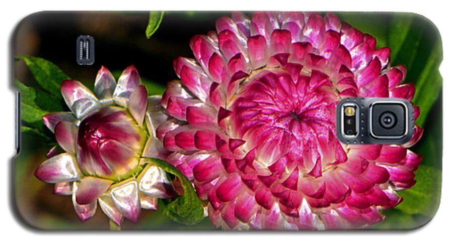 Floral Galaxy S5 Case featuring the photograph Grand Opening - Before And After 002 by George Bostian