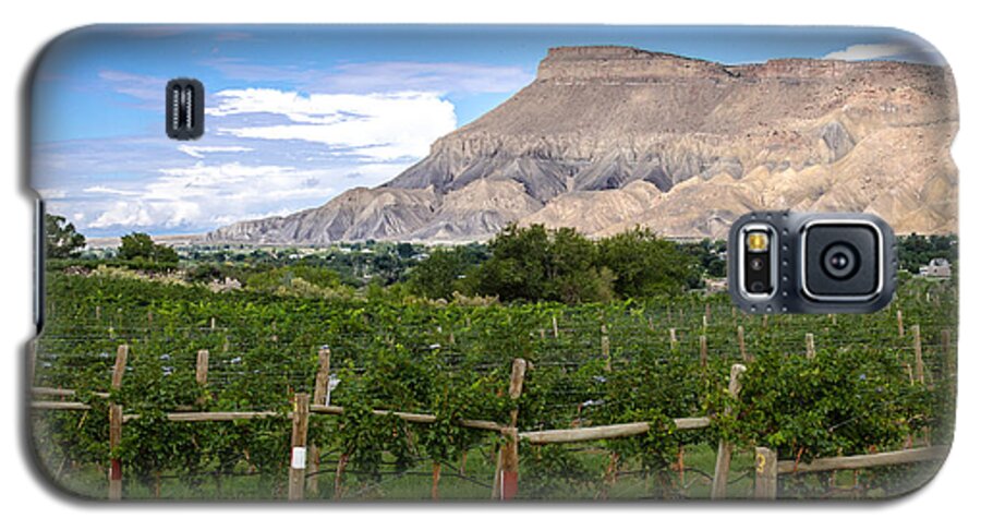 Colorado Galaxy S5 Case featuring the photograph Grand Valley Vineyards by Teri Virbickis