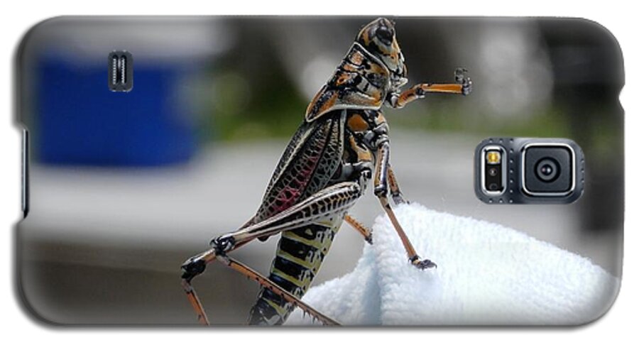 Amazing #colors Galaxy S5 Case featuring the photograph Dancing Grasshopper at the Pool by Belinda Lee