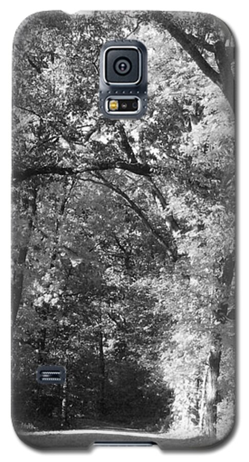 Back Galaxy S5 Case featuring the photograph Graves Rd by September Stone