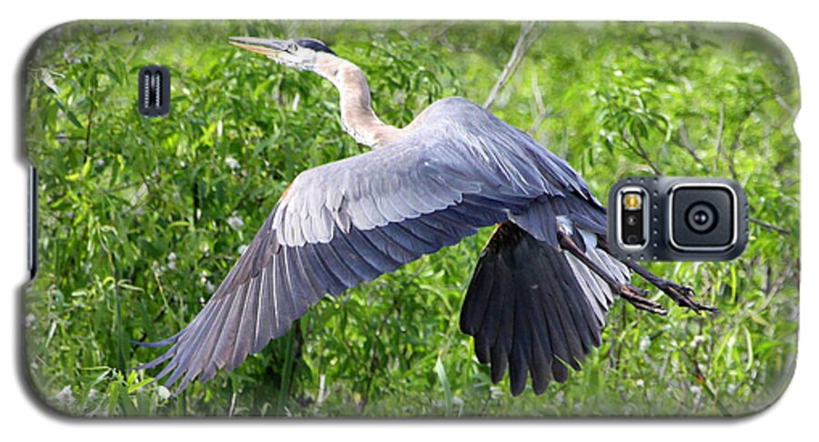 Great Blue Heron Galaxy S5 Case featuring the photograph Great Blue Heron Takeoff by Barbara Bowen