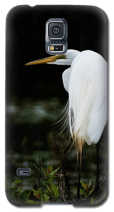 Bird Galaxy S5 Case featuring the photograph Great Egret by Jody Partin