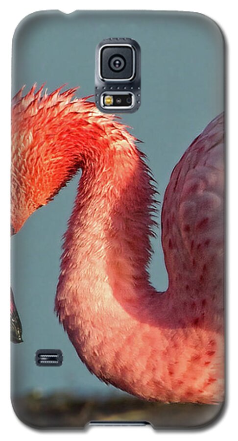 Red Galaxy S5 Case featuring the photograph Great Flamingo at Lake Nakuru by Steven Upton