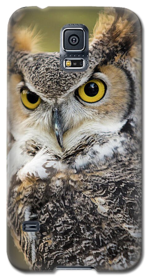 Owl Galaxy S5 Case featuring the photograph Great Horned Owl by Wesley Aston