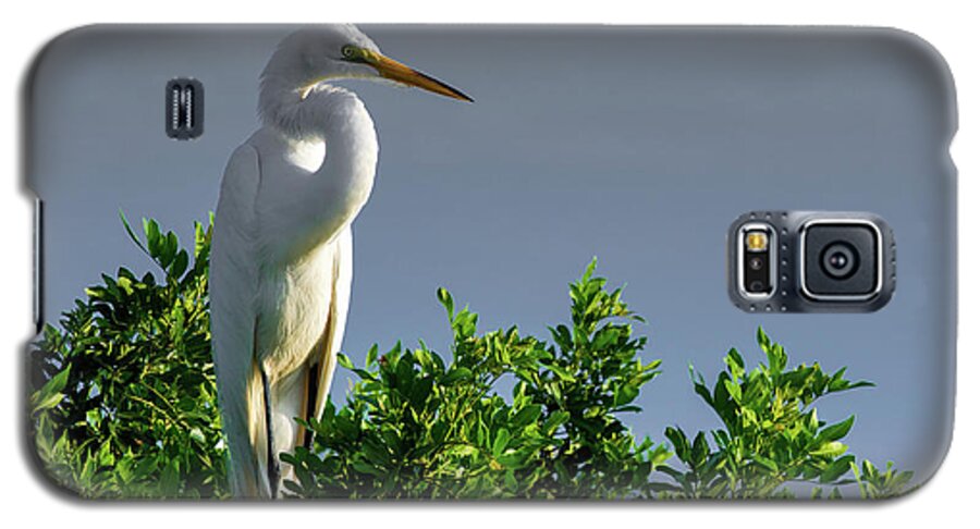 Bird Galaxy S5 Case featuring the photograph Great White Egret by Dillon Kalkhurst