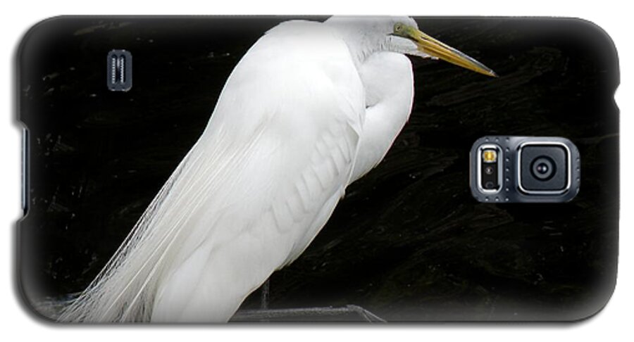 Bird Galaxy S5 Case featuring the photograph Great White Egret by Rosalie Scanlon