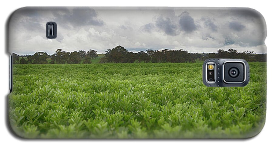 Green Galaxy S5 Case featuring the photograph Green Fields 4 by Douglas Barnard