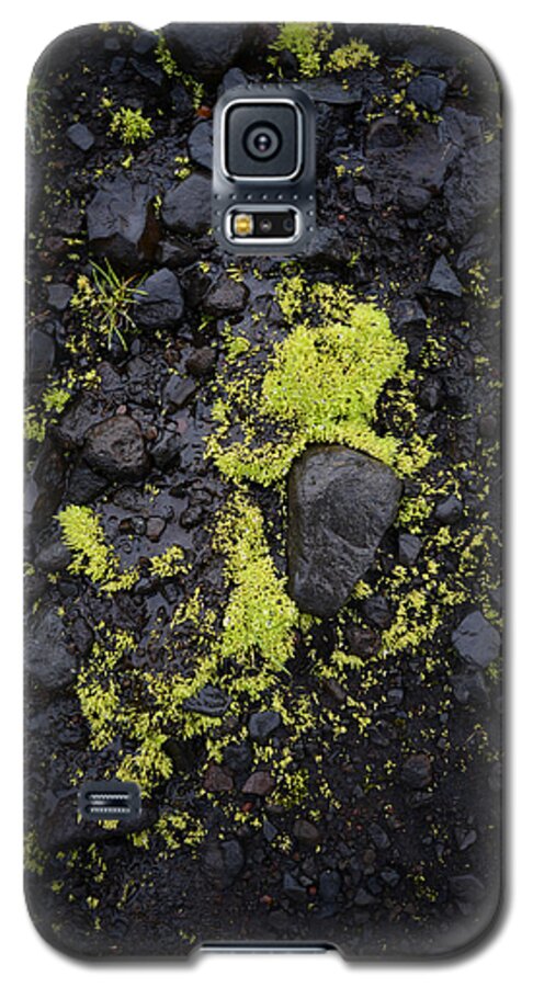 Iceland Galaxy S5 Case featuring the photograph Green on Black on Iceland's Fimmvorduhals Trail by Alex Blondeau