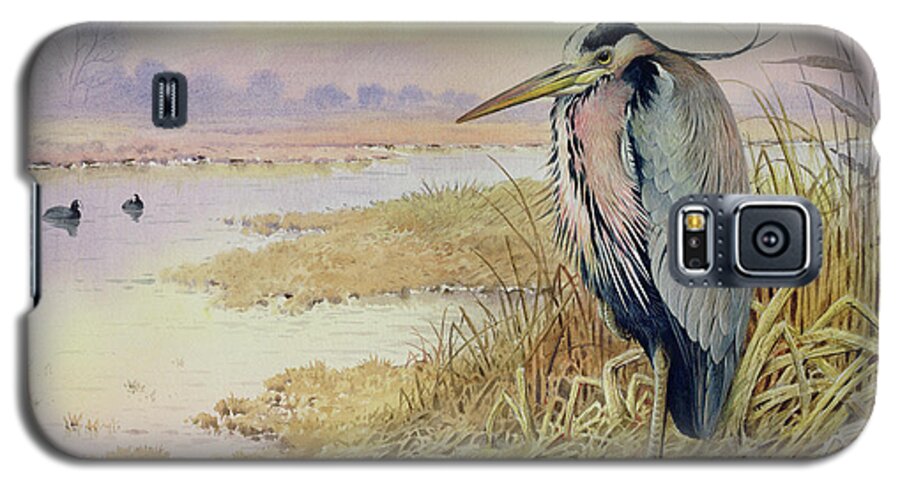 Heron Galaxy S5 Case featuring the painting Grey Heron by John James Audubon
