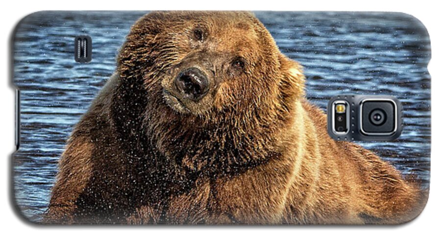 Grizzly Galaxy S5 Case featuring the photograph Grizzly Bear Bathtime by Steven Upton