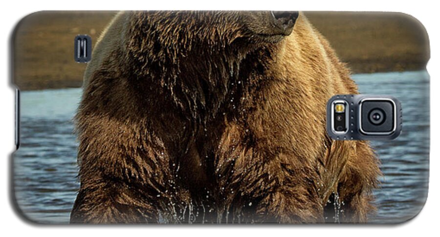 Bears Galaxy S5 Case featuring the photograph Grizzly on Alert by Steven Upton