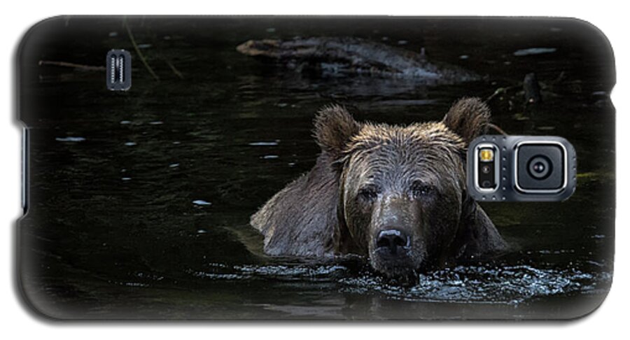 Grizzly Bear Galaxy S5 Case featuring the photograph Grizzly Swimmer by Randy Hall