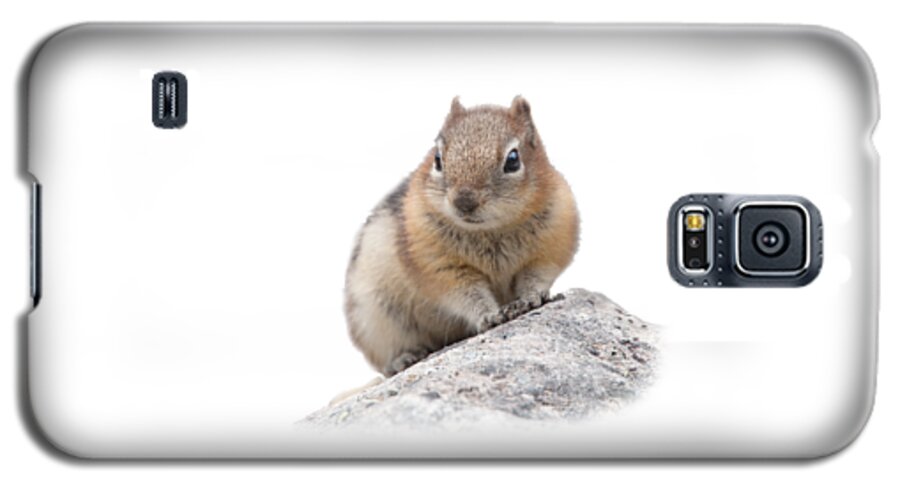 Ground Squirrel Galaxy S5 Case featuring the photograph Ground Squirrel T-shirt by Tony Mills