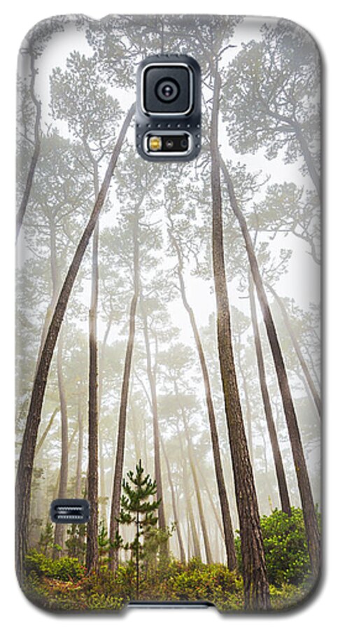 Forest Galaxy S5 Case featuring the photograph Guardians of the Young by Dan McGeorge