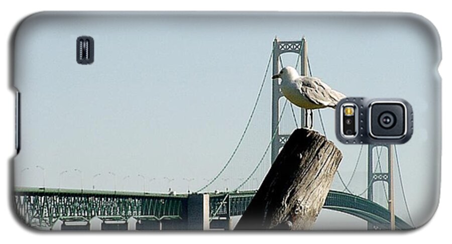 Mackinac Bridge Galaxy S5 Case featuring the photograph Gull and Mackinac Bridge by Keith Stokes