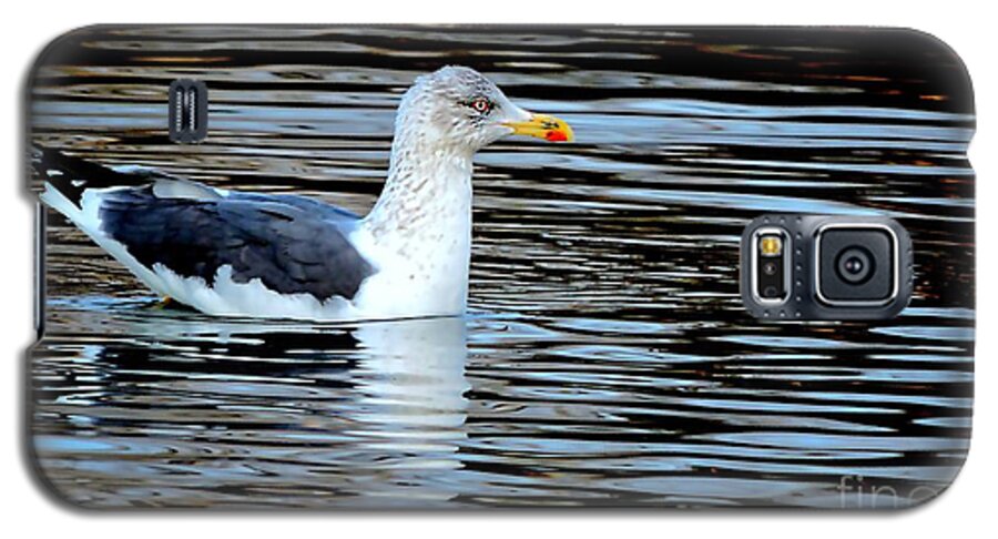 Laughing Gull Galaxy S5 Case featuring the photograph Gull On Winter's Pond by Tami Quigley