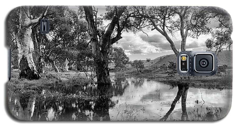 Gum Trees Galaxy S5 Case featuring the photograph Gum Creek by Douglas Barnard