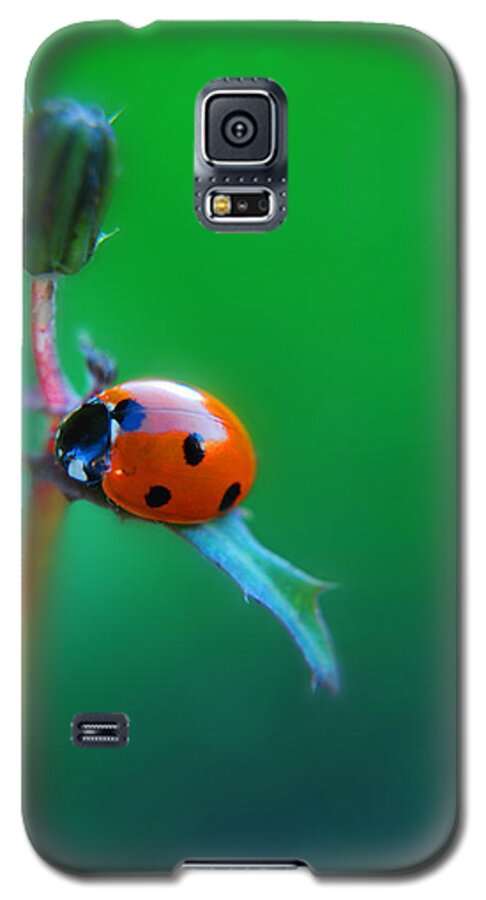 Yhun Suarez Galaxy S5 Case featuring the photograph Hang by Yhun Suarez