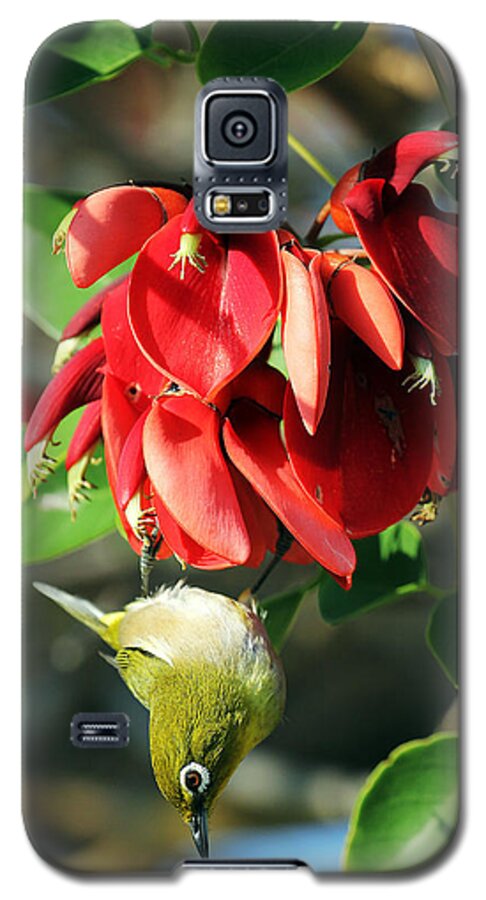 Hanging Japanese Galaxy S5 Case featuring the photograph Hanging Japanese by Jennifer Robin