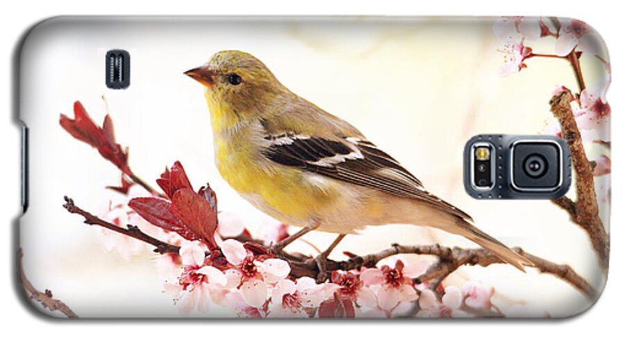 Birds Galaxy S5 Case featuring the photograph Happy Goldfinch by Trina Ansel