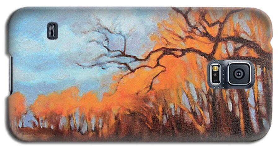 Sunset Galaxy S5 Case featuring the painting Haunting Glow by Andrew Danielsen