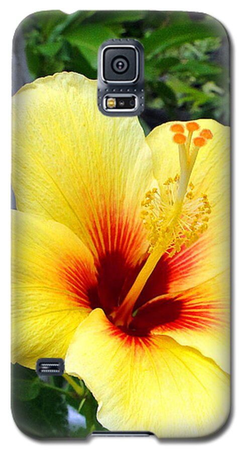 Hibiscus Galaxy S5 Case featuring the photograph Hawaiian Hibiscus by Sue Melvin