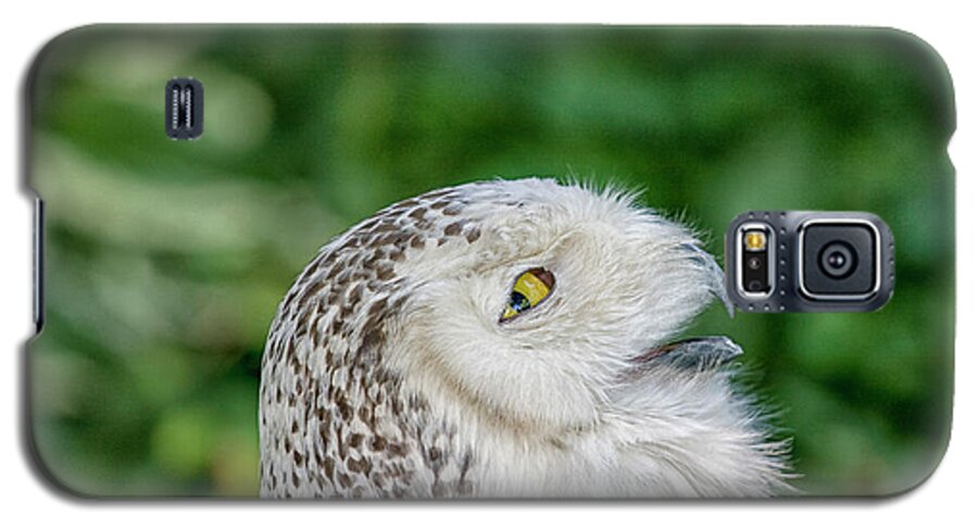 Owl Galaxy S5 Case featuring the photograph Head of snowy owl by Patricia Hofmeester
